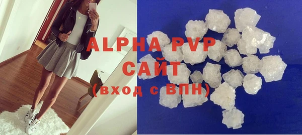 гидра Кодинск