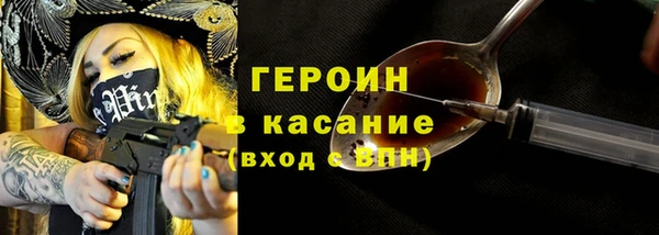 гидра Кодинск