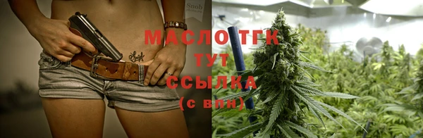 гидра Кодинск