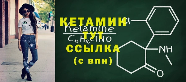 гидра Кодинск