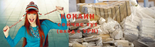apvp Козельск