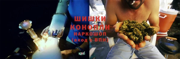 apvp Козельск