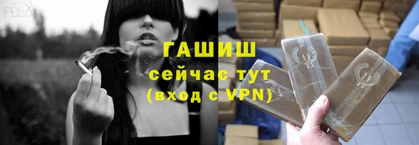 гидра Кодинск