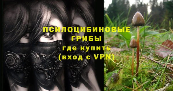 метадон Коряжма