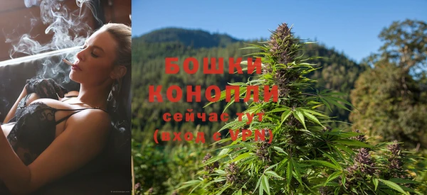 прущий лед Козловка