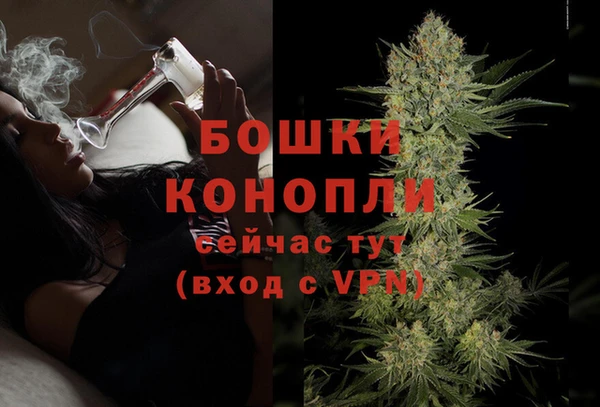 соль ск Костерёво
