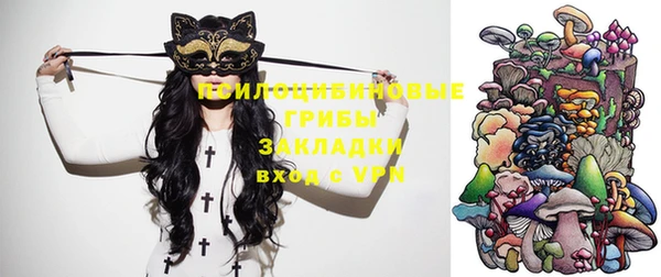 прущий лед Козловка