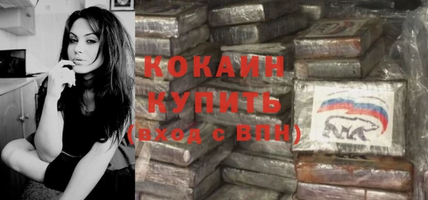 apvp Козельск