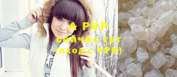 apvp Козельск